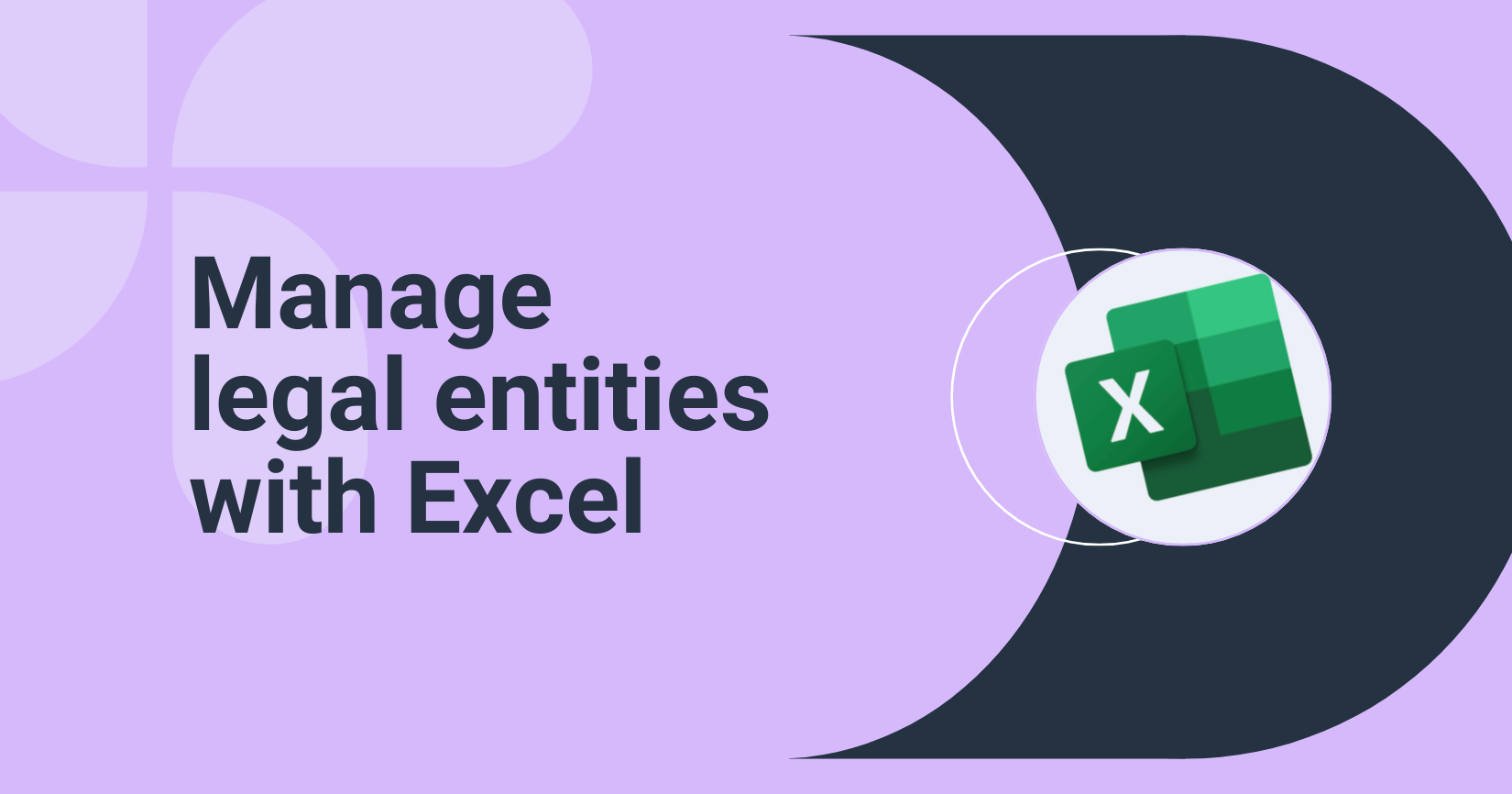 manage legal entities with excel